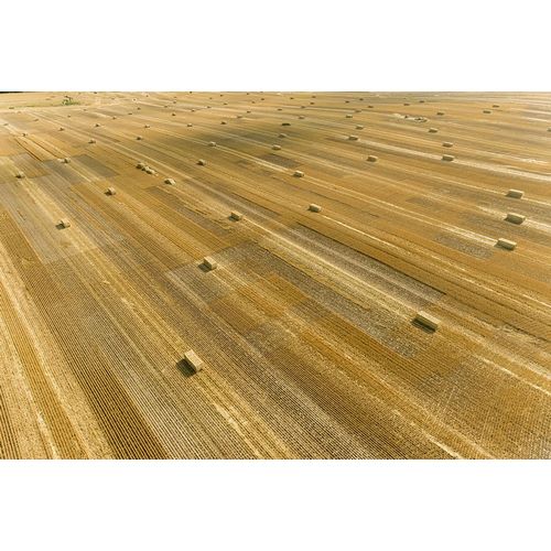 Day, Richard and Susan 아티스트의 Aerial view of large square bales of wheat straw in field-Clay County-Illinois작품입니다.